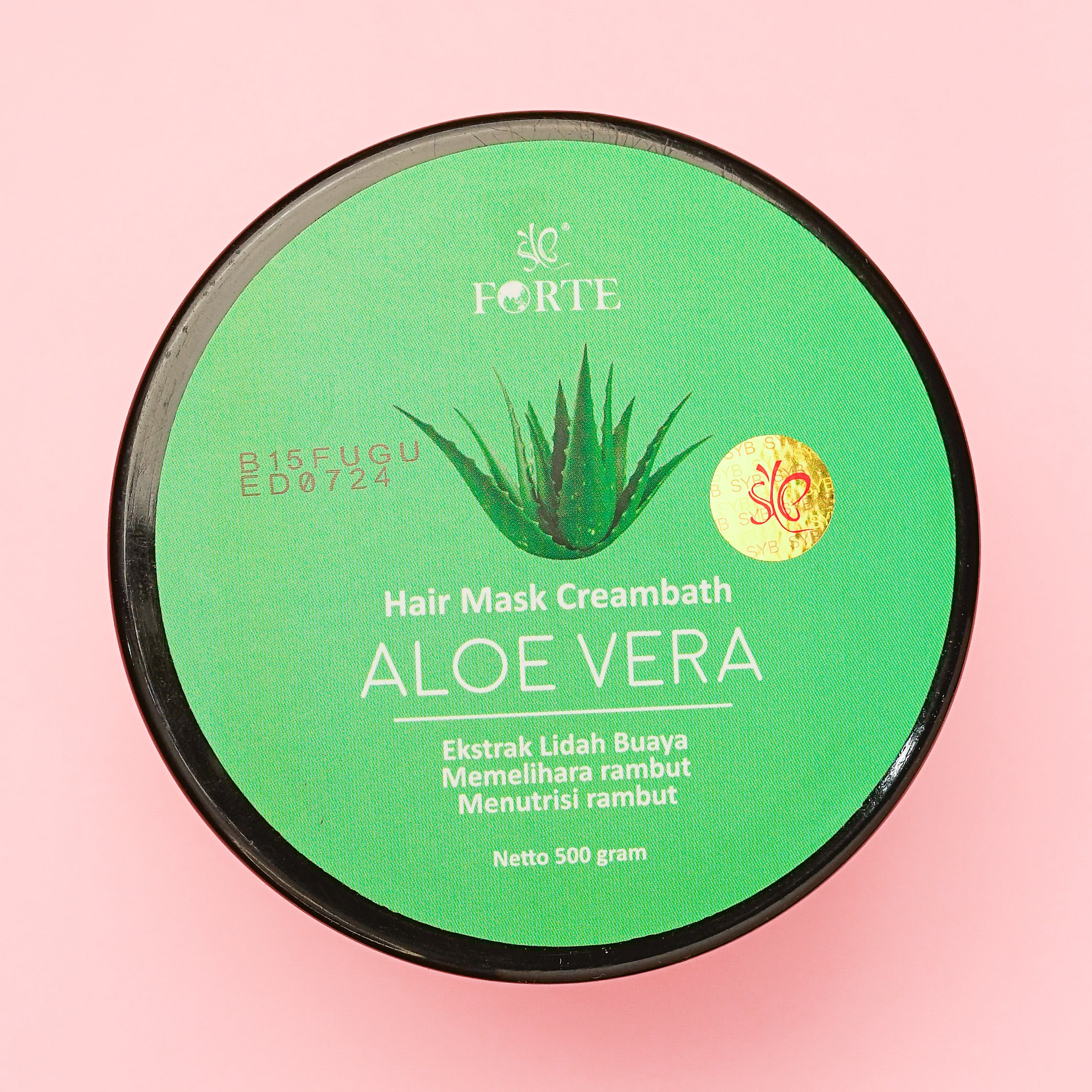 SYB FORTE HAIR MASK CREAMBATH ALOE VERA - SYBofficial