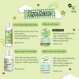 SYB PAKET SKINCARE 4 IN 1 ( PAKET SKINCARE ACNE)