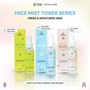 SYB FORTE MIST ALOE VERA TONER